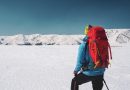 Beyond Conventional Cruises: Luxury Expeditions to Remote Destinations